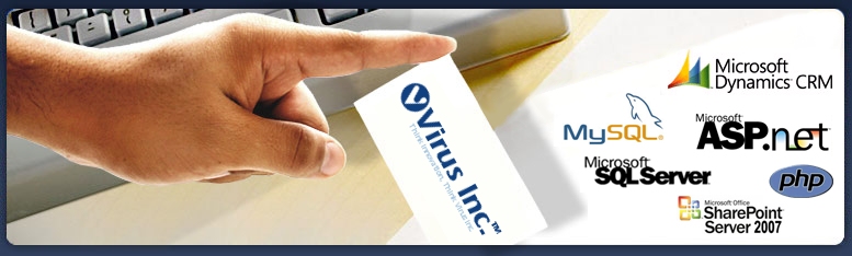 Website Design, Software Development, Copywriter Services, Logo Design, E-Commerce, Website Marketing